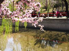 -海棠花溪(元大都城垣遗址公园)