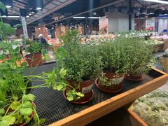 -果蔬好生活超市(乐堤港店)