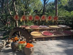 -天目湖山水园
