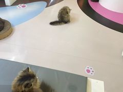 -天河领展广场