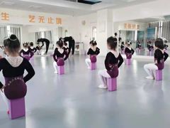 -西安小天鹅艺术团(金花路校区)