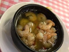 蒜油虾仁-VITELLO意大利料理(崂山路店)