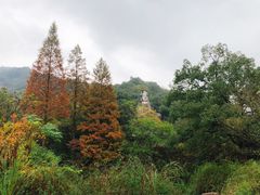 -黄公望隐居地