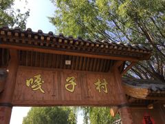 -白洋淀景区