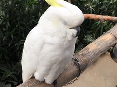 -世界地热博览园