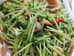 炒豆苗-T&K 海鲜