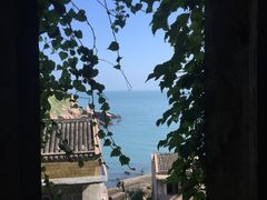 -枸杞岛