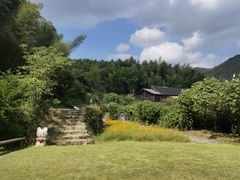 -宁波浙东大竹海景区