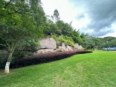 -神光山国家森林公园