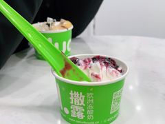 -Salud撒露欧洲冻酸奶(五道口购物中心店)
