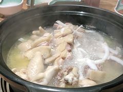 -春润大地海南椰子鸡(沙井京基百纳广场店)