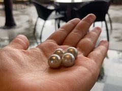 -鹭江潮餐厅•福建菜(鹭江佲家酒店)