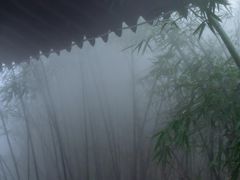 -老王烫面角(北京路店)