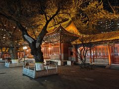 -中央音乐学院歌剧音乐厅