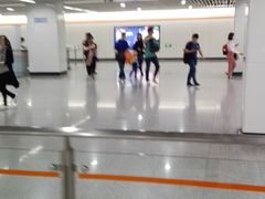 -杨高南路(地铁站)