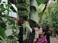 -呀路古热带植物园