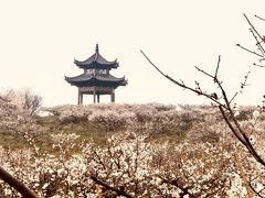 -南京市无想山景区