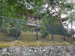 -奈良公园