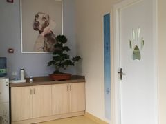 -芭比堂动物医院·犬猫全科·异宠专科(雁塔分院)