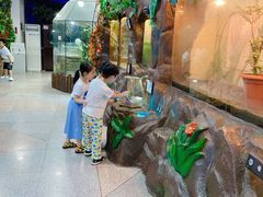 -上海大自然野生昆虫馆(东方明珠·爬宠昆虫探索中心)