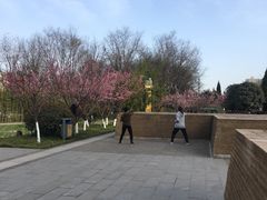 -唐城墙遗址公园