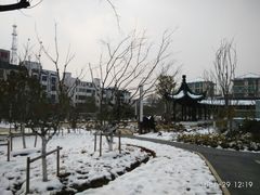 -伟记奥面馆(养育巷店)