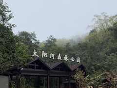 -普洱太阳河森林公园