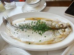 清蒸白鱼-蟹天蟹地农家菜·阳澄湖大闸蟹(浅水湾店)