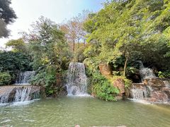 -广州市帽峰山景区