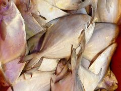 -芦潮港集贸市场