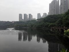 -重庆彩云湖湿地公园