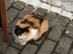 -老外街
