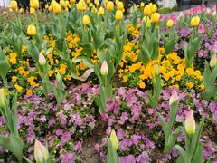 -申粤轩酒楼·三十年粤菜经典(丁香花园店)