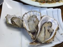 -鲁前海沿儿