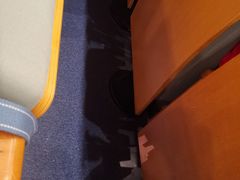 -中国福利会少年宫