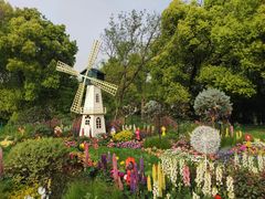 -上海共青森林公园