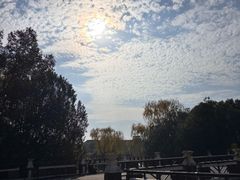 -华东政法大学(松江校区)