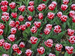 -玄武湖景区-情侣园游乐场