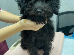 -宠颐生嘉德动物医院