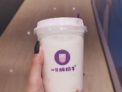 -一只酸奶牛(时代天街A馆店)