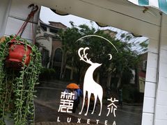 -麓茶