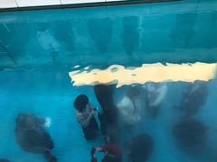 -金泽21世纪美术馆