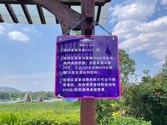 -云漫湖生态度假公园