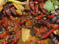 -百味地锅鸡(二店·财校分店)