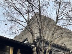 -南宋御街