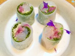 -State Bird Provisions
