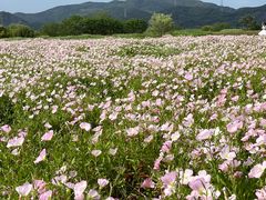 -良渚古城遗址公园