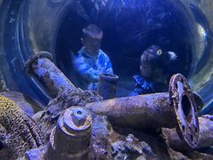 -成都浩海立方海洋公园