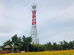 -羊亭河湿地公园