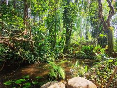 -中国科学院西双版纳热带植物园